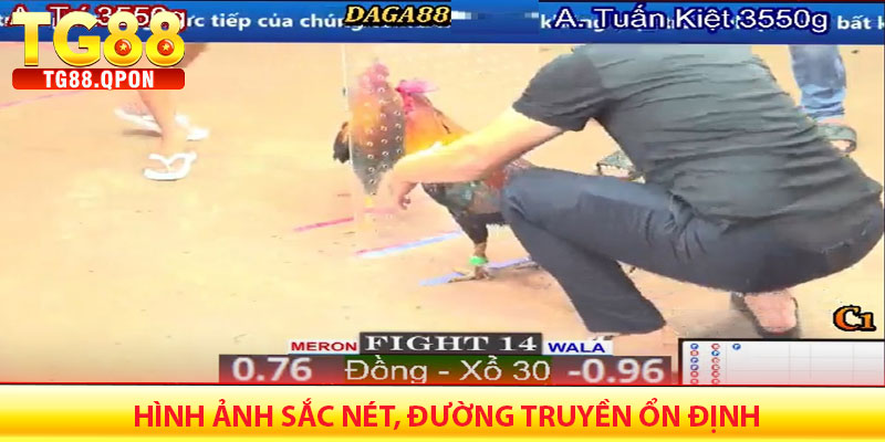 Truyền Hình Trực Tiếp – Hình Ảnh Sắc Nét, Đường Truyền Ổn Định